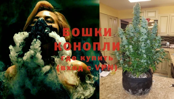 гидропоника Карпинск
