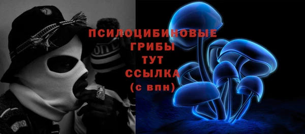 apvp Касимов