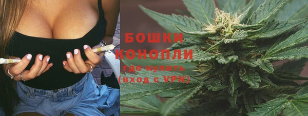 гидропоника Карпинск