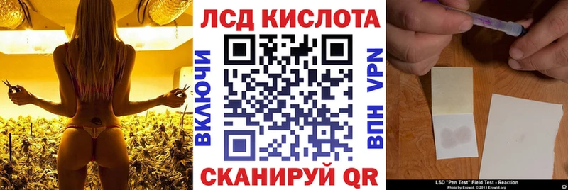 Наркотические марки 1,8мг  Купить закладки  Ветлуга 