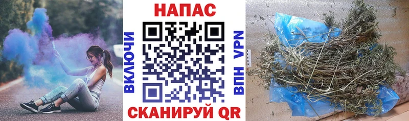 Купить  Ветлуга  Шишки марихуана MAZAR 